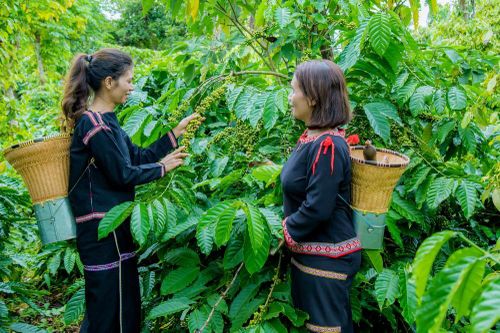 Trụ vững, phát triển nhờ nguồn vốn từ Agribank