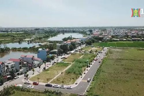 Điều chỉnh cơ chế để lành mạnh hoạt động đấu giá