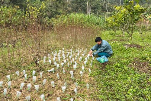 Thành phố có 54 cơ sở sản xuất kinh doanh ngành nghề, làng nghề nông thôn