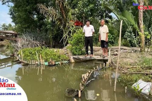 Kè chống sạt lở: giữ đất, đẹp nhà
