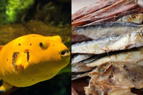 2 loại cá đừng ham rẻ mà mua vì có thể gây ngộ độc, rút ngắn tuổi thọ của bạn