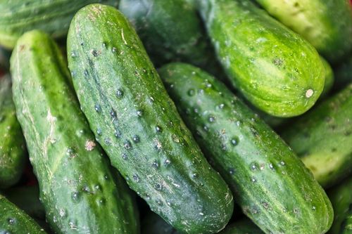 Công dụng tuyệt vời của vỏ dưa chuột