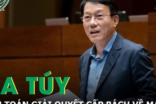 Bộ trưởng Lương Tam Quang: Giải quyết cấp bách trong phòng, chống và kiểm soát ma túy