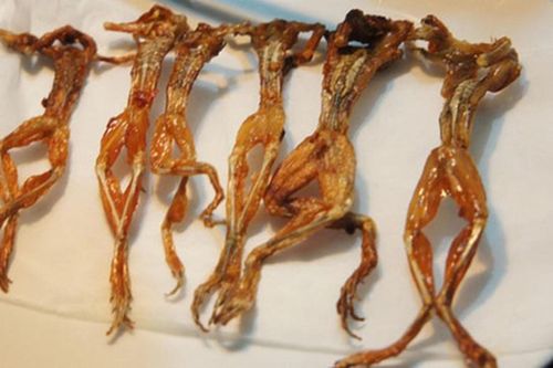 'Vũ nữ chân dài' nức tiếng An Giang