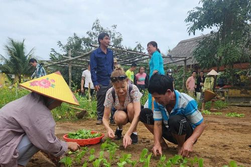 Làng rau Trà Quế được công nhận là làng du lịch tốt nhất 2024