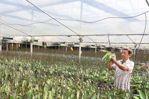 Thanh Oai, kiến tạo làng quê người dân sống khỏe dựa trên giá trị văn hóa truyền thống