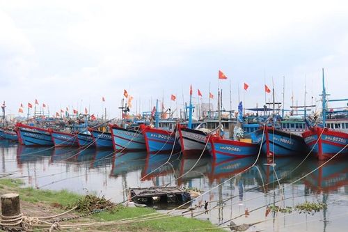 Biển Đông sắp đón bão Usagi mạnh cấp 13, Quảng Ninh-Bình Định lo ứng phó