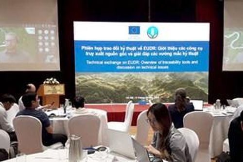 EU quyết định lùi thời hạn áp dụng quy định nông sản không gây phá rừng