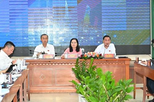 Thường trực HĐND TPHCM tổ chức hoạt động giải trình về chuyển đổi số phục vụ người dân, doanh nghiệp