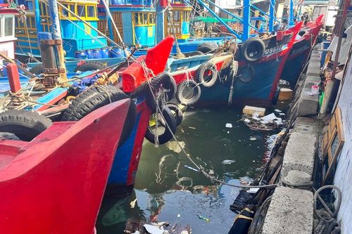 Khánh Hòa: Điểm tập kết cá xả thải trực tiếp ra biển