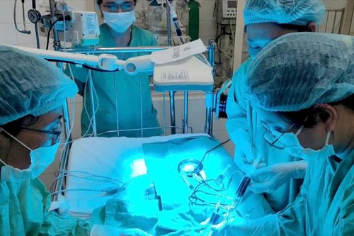Thay máu thành công trẻ sơ sinh vàng da tan máu nặng hiếm gặp