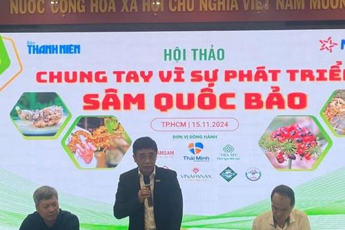 Phấn đấu sản lượng sâm Việt Nam đến năm 2030 đạt 300 tấn mỗi năm