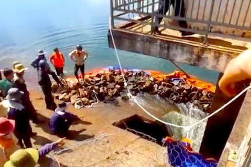 Thủng lỗ trên thân đập thủy lợi ở Gia Lai, khẩn trương sơ tán người dân