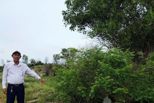10 hộ dân ở Phú Quốc bị thu hồi đất giá 0 đồng để làm dự án du lịch