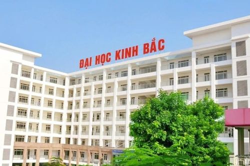 Thu hồi bằng cử nhân của một cán bộ trường đại học
