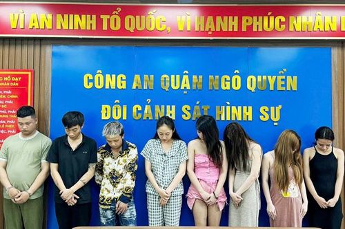 Phá chuyên án, bắt giữ 12 đối tượng liên quan đến mại dâm, ma túy