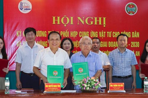 Phối hợp cung ứng phân bón, xây dựng các mô hình khảo nghiệm giống