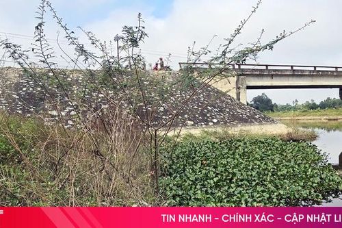 Cần phát quang cây bụi bên bờ kênh Vách Nam
