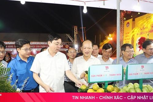 Khai mạc Lễ hội Cam và các sản phẩm Hà Tĩnh năm 2024