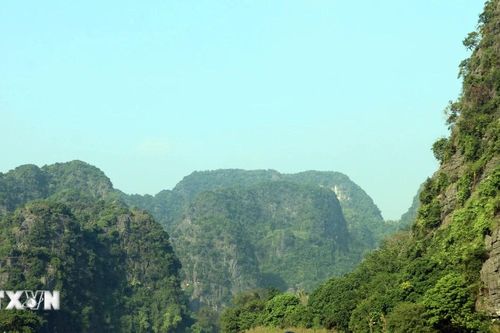Mùa hoa súng tím tạo khung cảnh nên thơ ở khu du lịch Tam Cốc, Ninh Bình