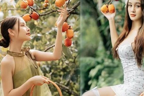 Gái trẻ đổ xô chụp ảnh 'sống ảo' giữa vườn hồng trĩu trịt quả