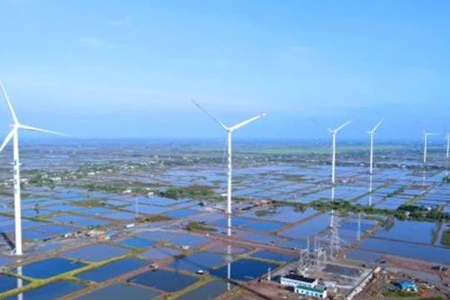 Giải pháp năng lượng xanh cho Đồng bằng sông Cửu Long
