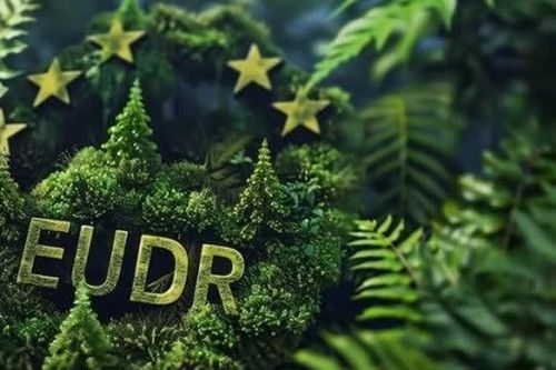 EU có thể lùi triển khai quy định EUDR, tạo điều kiện cho doanh nghiệp