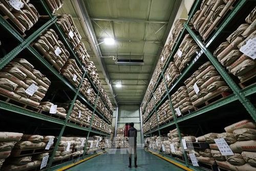 Nhật Bản tìm hướng giải quyết tình trạng thiếu hụt gạo