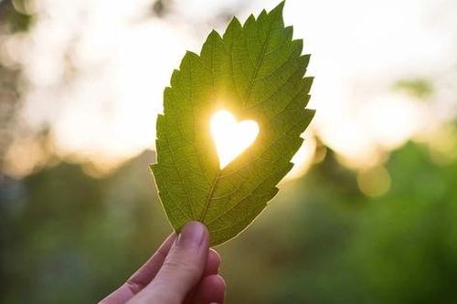 Hạnh phúc đến từ những trái tim rộng mở
