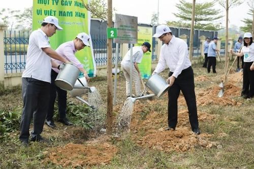 Nối dài hành trình 'Một tỷ cây xanh - Vì Việt Nam xanh'