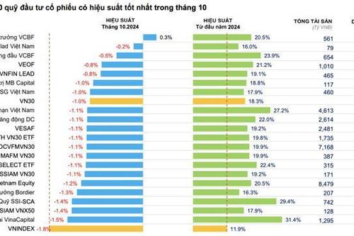 Hàng chục quỹ cổ phiếu hiệu suất âm trong tháng 10, giảm mạnh hơn cả VN-Index