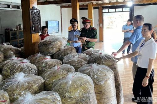 Quan tâm thanh tra, kiểm tra việc thực hiện Luật Phòng, chống tác hại của thuốc lá