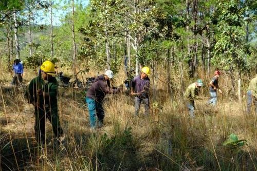 Đức Trọng: Chuyển biến tốt trong công tác quản lý, bảo vệ rừng