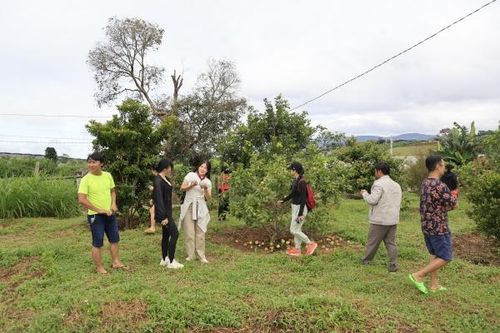 Mô hình chuỗi liên kết du lịch nông thôn đầu tiên trên địa bàn 3 huyện