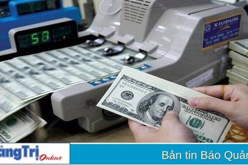 Mức lãi suất tối đa đối với tiền gửi bằng đô la Mỹ của tổ chức, cá nhân tại ngân hàng từ 20/11/2024