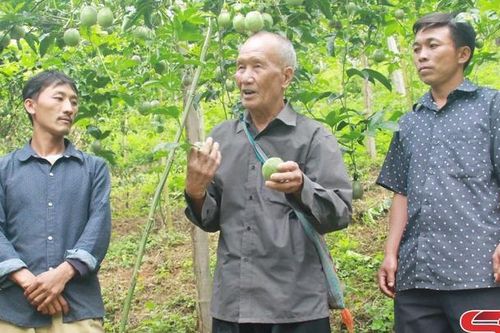 Điểm tựa nơi bản mường
