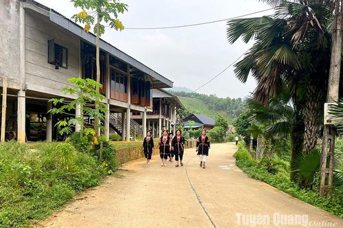 Chuyện ở bản Dao Cây Quéo