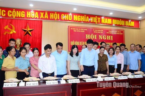 Khởi động dự án và đánh giá chất lượng cảm quan vịt bầu Minh Hương