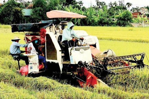 Phát triển các dịch vụ nông thôn thông minh