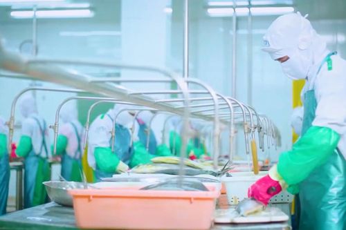 Xuất khẩu thủy sản sang EU: Giải pháp giữ lợi thế của EVFTA