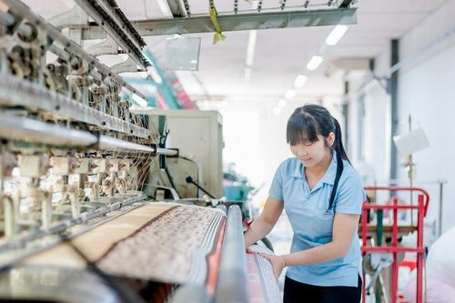 Lãi lớn, May Sông Hồng (MSH) sắp chia cổ tức tiền mặt 35%, xúc tiến đầu tư sang Ai Cập