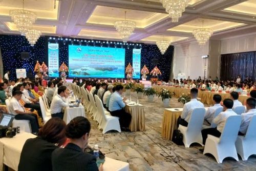 Hạ Long (Quảng Ninh): Phát triển giáo dục trong kỷ nguyên mới