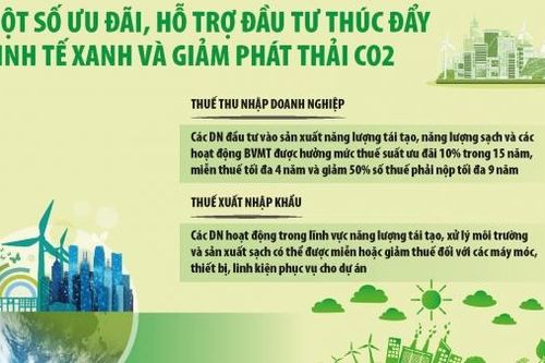 Hoàn thiện chính sách thuế, thúc đẩy kinh tế xanh phát triển