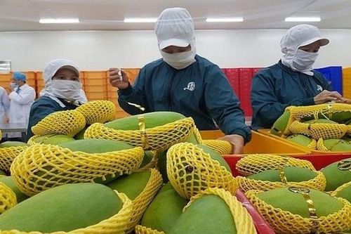 Nâng cao năng lực xuất nhập khẩu cho doanh nghiệp nhỏ và vừa