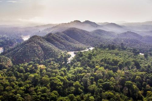 Kiên Giang chuyển hơn 57ha rừng đặc dụng ở Phú Quốc làm dự án du lịch