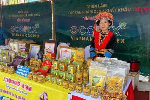 Tăng cường kết nối giao thương, nâng cao vị thế 'đất trăm nghề' Hà Nội