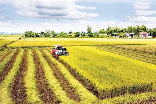 Phân bón, máy móc nông nghiệp và tàu khai thác thủy sản có thể phải chịu thuế 5%