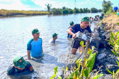 Tuổi trẻ Bộ đội biên phòng hưởng ứng các hoạt động kỷ niệm 70 năm tập kết ra Bắc