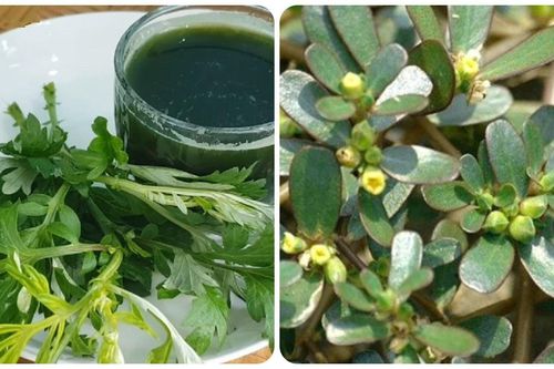 5 loại rau mọc dại được lương y dùng làm thuốc