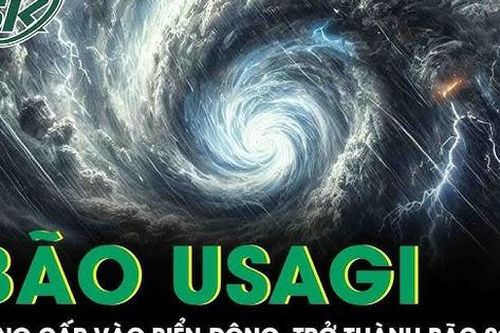Bão Usagi tăng cấp đi vào Biển Đông, trở thành cơn bão số 9 trong hôm nay